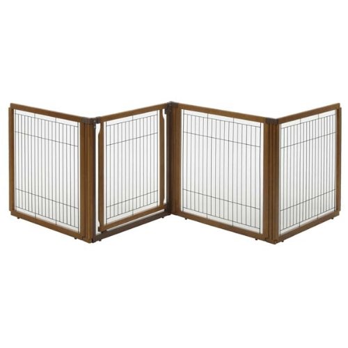 large dog shock collar with remote