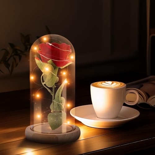 Beauty and the Beast Rose Gifts for Women - Beauty and the Beast Gifts - Light Up Roses, Rose in Glass Dome - Beauty and the Beast Decor for Library - Beauty and the Beast Party Decorations (Red)