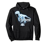 19JWOR00074A Jurassic World Velociraptor Hologram Title Logo Sweat à Capuche