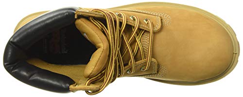 Timberland PRO Tênis feminino de trabalho com isolamento térmico à prova d'água com bico de aço de