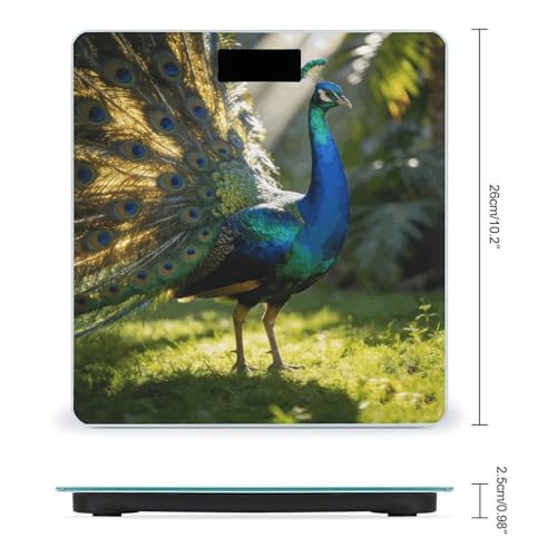 Peacock báscula digital precisa para casa 180kg miniatura 2