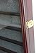 Display Case Cabinet Shadow Box Compatilble with Zippo Lighters Without Box Mahogany Finish