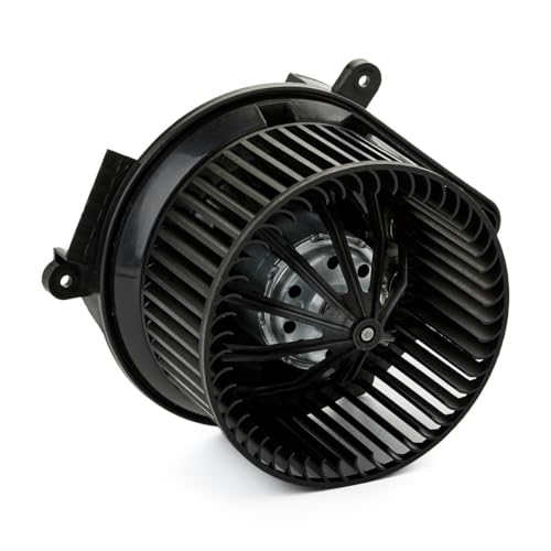 RIDEX 2669I0258 Ventilador habitáculo con regulador incorporado Compatible con PEUGEOT 406 8B