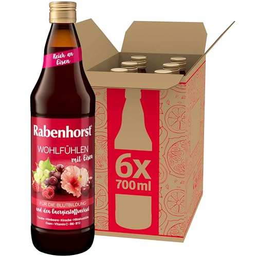 RABENHORST Wohlfühlen mit Eisen 6er Pack (6 x 700 ml)