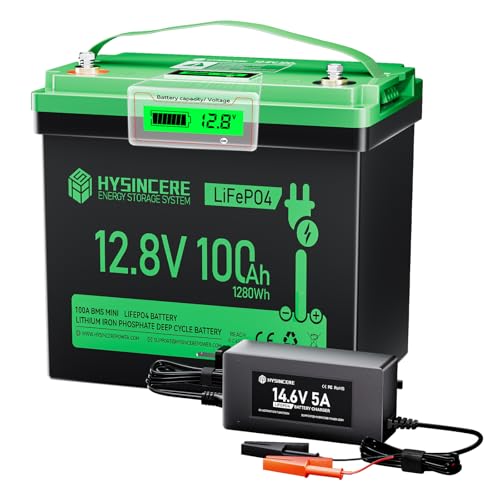 HYSINCERE Batería de litio LiFePO4 de 12 V 100 Ah con LED y cargador LiFePO4 de 5 A, 100 A BMS y máx. 15.000 ciclos, batería de ciclo profundo de 12 V 1280 Wh recargable para autocaravanas, camping
