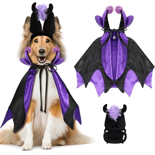 Disfraz Halloween para perros y gatos Hechicera 2 piezas miniatura 1