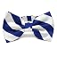 Royal Blue and White
