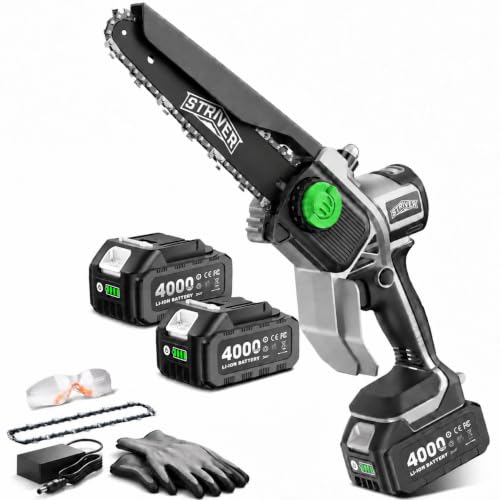 STRIVER 8-Inch Cordless Mini Chainsaw M8 Boost