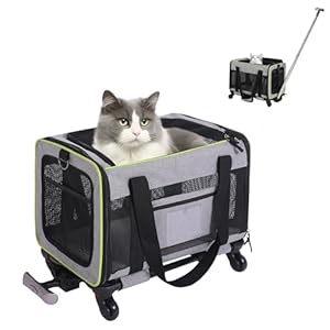 Cat Carrier,Amai Peto Dog Carrier for Small Medium Cats up to 15 Lbs,Airline Approved Carrier Soft Sided,Collapsible Travel Pet Carrier,17″x 11″x 11″