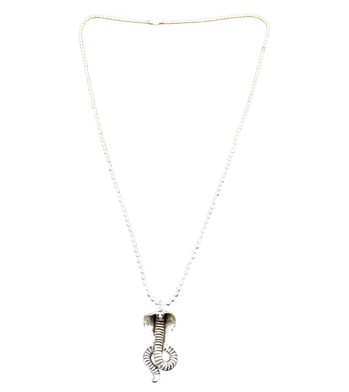 Silver Plated Snake Naag Pendant Chain for Men-image-47
