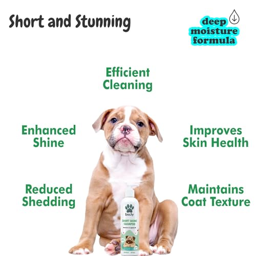 Image of Bscly Short Shine Dog Shampoo - Ticks & Fleas Prevention - Enriched with Chamomile, Aloe and Coconut Oil - Moisturizes & Heals Skin - Suitable for Pomeranians to Golden Retrievers - 100Ml Pack of 2
