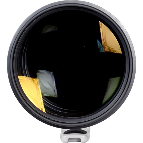 Ficha técnica Canon Lente EF 600mm f4L IS II USM - Fernando Cortés