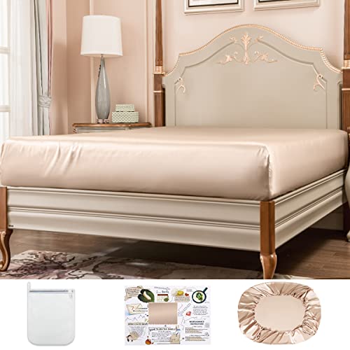 PROMEED 100% Mulberry Silk Deep Pocket Fitted Sheet ONLY King Size, 23 Momme Highest Grade 6A+ Real Silk Cooling Bottom Bed Sheet 1PC, Fits up to 16-Inch Mattress (Champagne, King)
