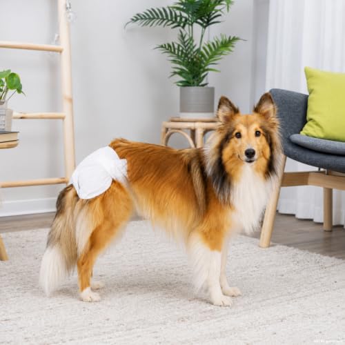 TRIXIE Hundewindeln für Hündinnen Gr. S–M, 12 St., 28–40 cm Taillenumfang