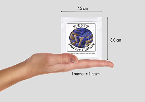 Kefir Starter Culture - Pack of 5 Freeze Dried Sachets