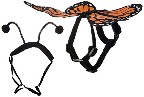 Zack & Zoey Hundegeschirr mit Schmetterlings-Motiv, für Hunde, Größe S Cover