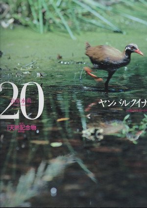 Amazon.co.jp: 週刊 日本の天然記念物 動物編 ヤンバルクイナ 20