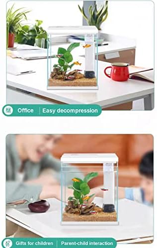 Betta Fish Tank — top-down angle highlighting key features