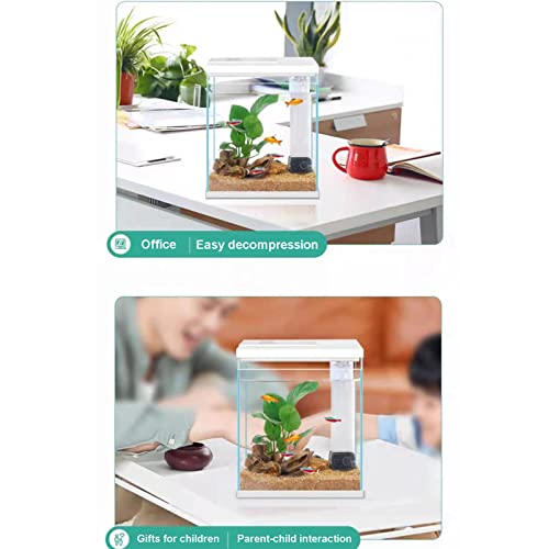 image for Pronetcus Betta Fish Tank, 2 Gallon Glass Aquarium Starter Kit, Small 