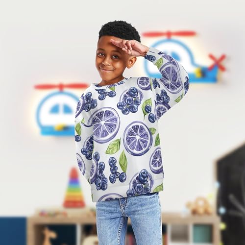 JUNZAN Art Bilberry Fruit Silver Big Girls Sweatshirt Hoodie Crewneck Fall Tops Shirts Athletic 4T4