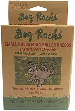 Dog Rocks for Water Bowls for Green Grass in 3-5 Weeks | Dog Urine Neutraliser for Lawns, Grass and Hedges | Stones for Dogs Water Bowls | Natural Dog Wee Neutraliser for Grass | 100g, 1 Month Supply