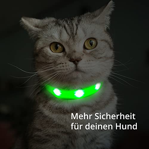 Leuchthalsband für Katzen [Das Original] Leuchtendes LED Katzenhalsband zum spazieren gehen auch im Dunkeln - sehr Lange Akkulaufzeit – Sicher Dank starker Leuchtkraft - Katzenhalsband (S, Grün)