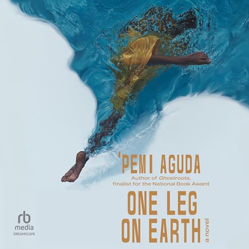 One Leg on Earth Audiolivro Por 'Pemi Aguda capa