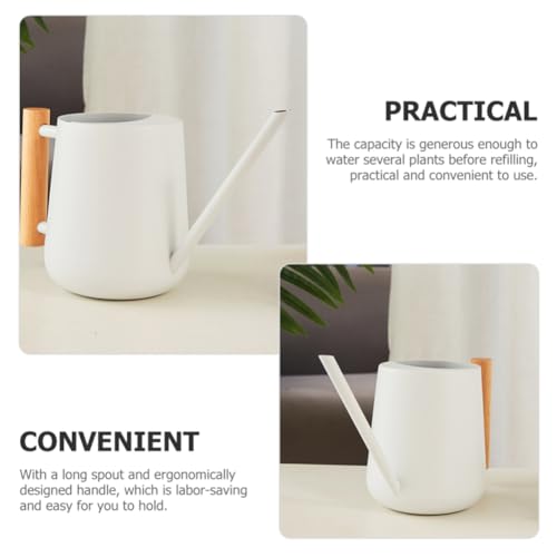 Watering Can Indoor Plants, 30oz/900ml Small Plant Watering Can with Long Spout, Stainless Steel Garden Watering Cans Outdoor Watering Pot for Indoor House Plants Bonsai Flower Decorative