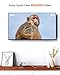 CableCreation USB C to HDMI Cable for Home Office 4K@60Hz 3FT, Type C to HDMI Thunderbolt 3 Compatible with iPhone 16 15 Pro Max Plus, MacBook Pro Air iPad Pro, XPS, Galaxy S24 Steam Deck