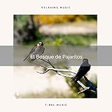  Aves y Sonidos del Bosque para Controlar Ansiedad