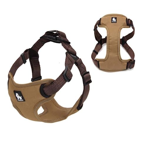 Juvendy K㗝X Truelove  n[lX ^b`  3Mˑf iC M brown COH꒼