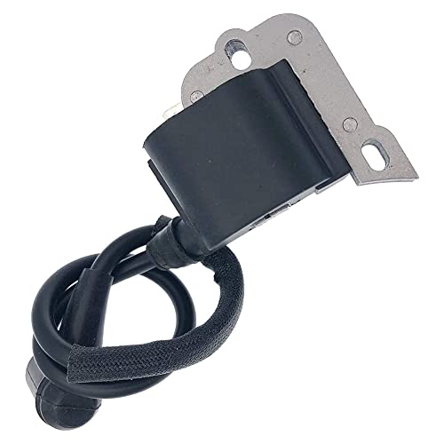 Niejgay Modulo Bobina di Accensione per 50 51 55