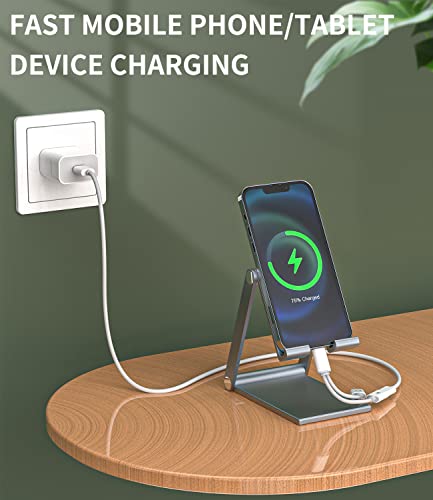 Double répartiteur Lightning pour iPhone fin du problème de charge et prise jack unique - 5