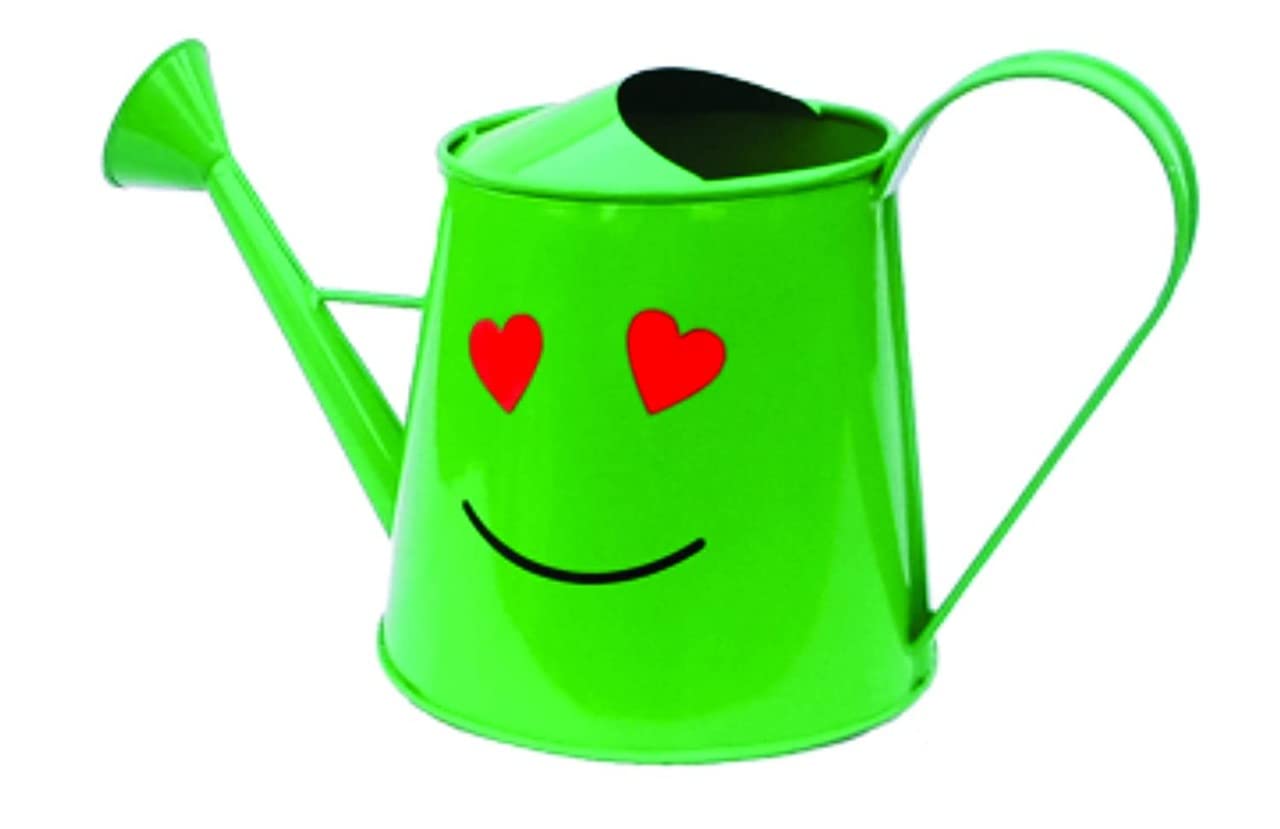 Railing planter impex Heart Smile 3 litres Metal planters Round Watering Can - Rust Free Home Decor Gifting, Garden, Gardening, Tools - (Pack of 1, Green) (B09W59TH2Y) Amazon Price History, Amazon Price Tracker