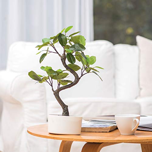 Hejdeco 18.5-Inches Artificial Bonsai Tree, Fake Plants Decoration, Potted Faux House Plants, Lifelike Trunk, In White Pot #TOP25