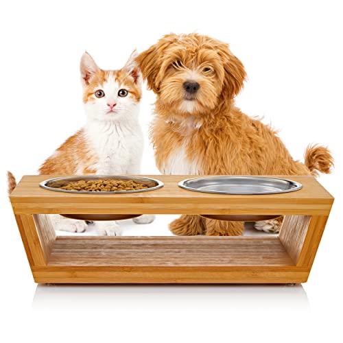 4” Raised Dog Bowls For Small Dogs And Cats. Elevated Dog Bowl Stand By Pawfect Pets. Pet Feeder Comes With Four Stainless Steel Dog Bowls #TOP7