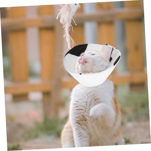 Collier pour chats et chiens réglable pour stérilisation et soin