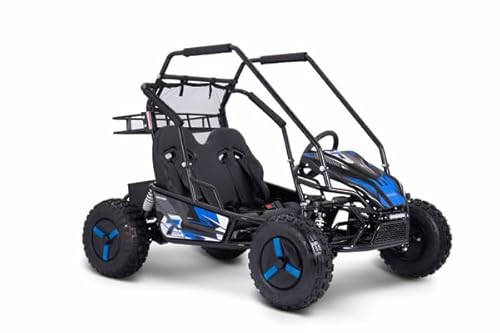 Tao/Apollo/GK014 Electric Go Kart, Black and Blue, Off-Road Youth Racing