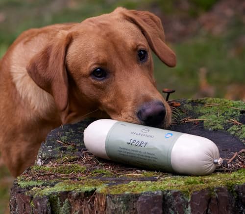 MAGNUSSONS Sport (12 x 650 G) | Geeignet für Welpen, Junghunde und Erwachsene Hunde Aller Rassen | Alleinfuttermittel | Dampfgegart | enthält frisches Fleisch vom Rind und Schwein