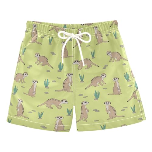 Wusikd Cute Meerkat Boys Swim Trunks Summer Drawstring Toddler Swim Board Shorts Boys Bathing Suit Beach Vacation S Multi