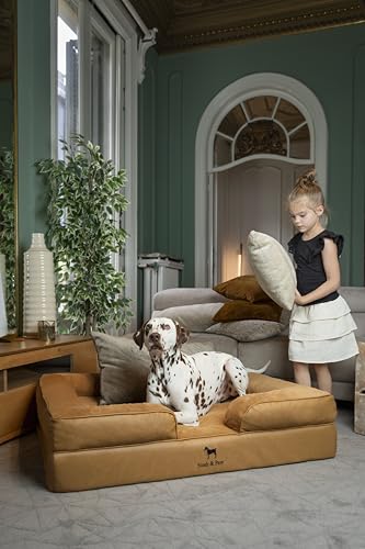 Image of NOAH & PAW XL Dog Bed, 45x35x11 Inch, Orthopedic Large Dog Beds, Eggshell Memory Foam Infused with Cooling Gel, Inner Cover, Water Resistant, Machine Washable (Faux Leather)