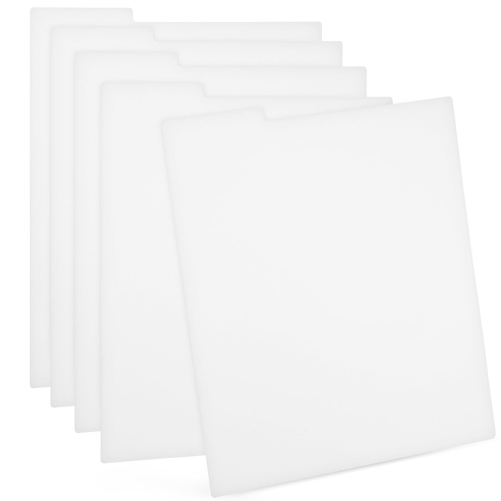 Divisores de discos de vinilo en plástico blanco con pestañas para organización de tiendas