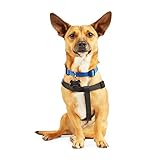 YOULY Adjustable Dog Harness Black Medium/Large