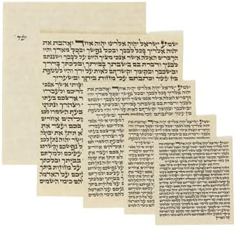 Rollo de mezuzah no kosher, papel pergamino en hebreo para mezuzah (1) uno (4 pulgadas de alto)