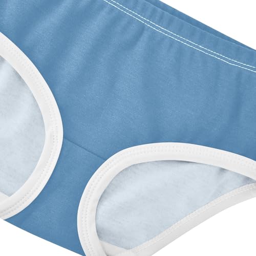 Joisal Aesthetic Toddler Girls Underwear 2t Cotton Panties Little Girl Steel Blue Briefs Underpants4