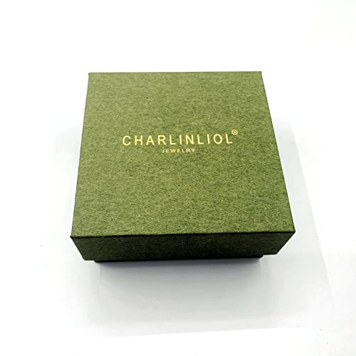 18K Gold Plated 925 Sterling Silver Iced Out Cubic Zirconia Screw Back Square Stud Earring For Men And Women Hypoallergenic Earring Twotone Micropave Hip Hop Jewelry Charlinliol #TOP7