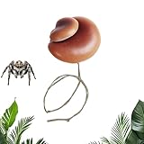 Stimulation de l'exploration : conçus pour intégrer les fonctions d'habitat et de terrain de jeu, ces accessoires pour araignées sauteuses reproduisent des environnements naturels, encourageant les araignées à grimper et à explorer librement tout en ravissant les espaces de repos et de saut définis, répondant efficacement à leurs besoins de mode de vie actif.