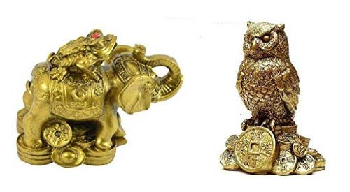 SoilMade Combo Elephant Frog and Golden Owl, Round Shape, Resin Made, Size Aprox 9cm and 180g, Pack of 1 Elephant Frog and Golden Owl in Box