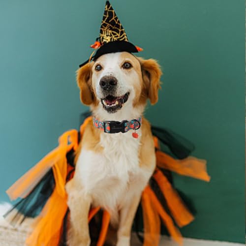 ARING PET Halloween Hundehalsband, Niedlich Kürbis Hundehalsband mit Schnellverschluss aus Kunststoffschnalle, Bequemes Grün Baumwoll Halsband für Jungen und Mädchen Hunde