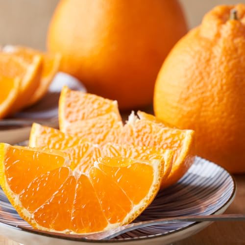 [先行予約]JA和歌山 マルゴ共撰 デコポン 24玉入り Lサイズ 5kg箱